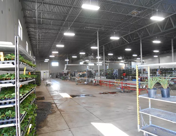 Star Inc. | design + build contractor projects | Green Circle Growers